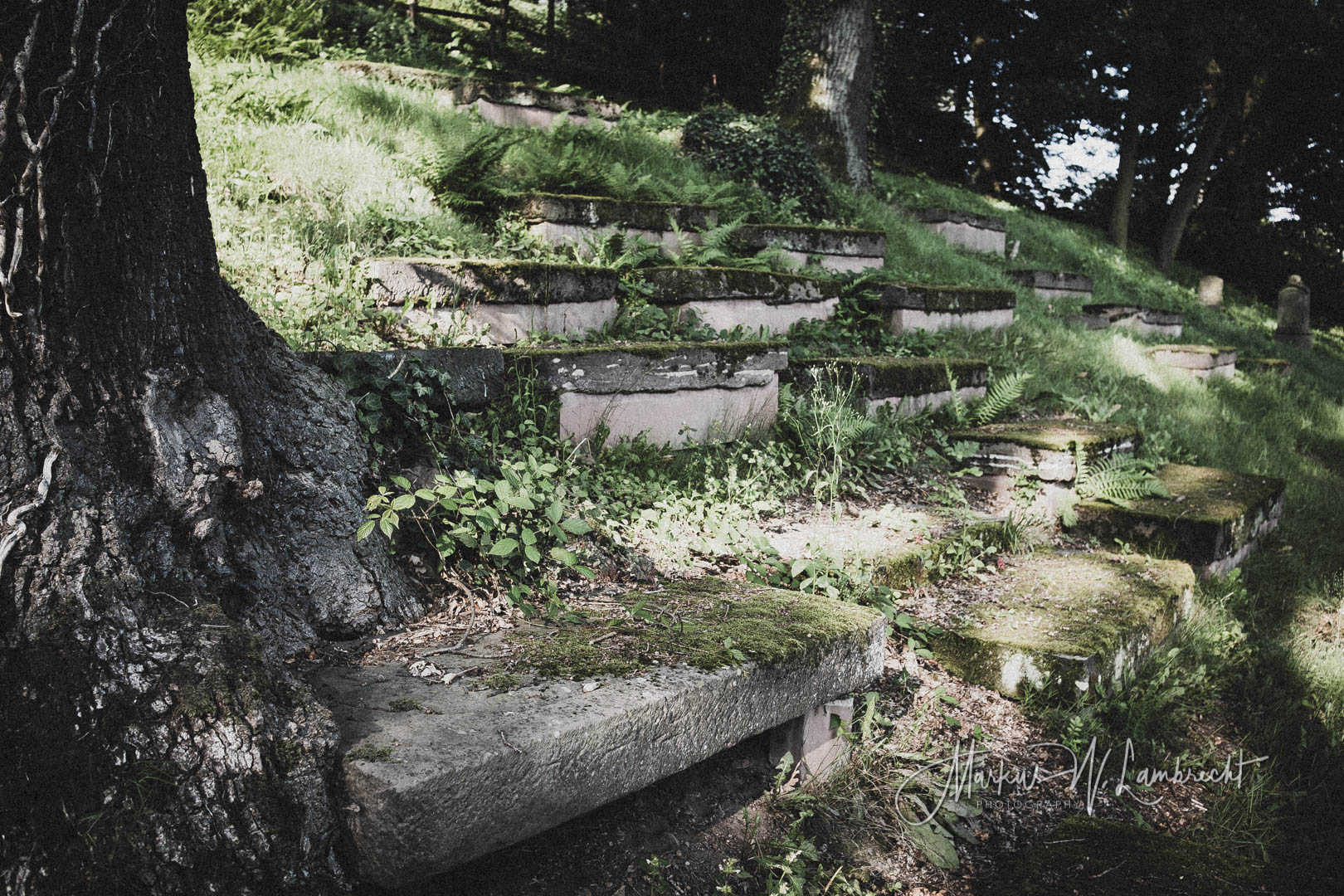 Adelebsen, Jüdischer Friedhof
